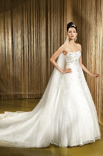 DEMETRIOS 291 D-509